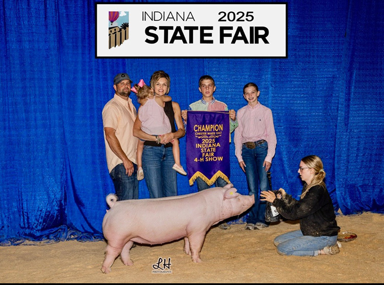 Champion Chester Gilt – 2025 Indiana State Fair